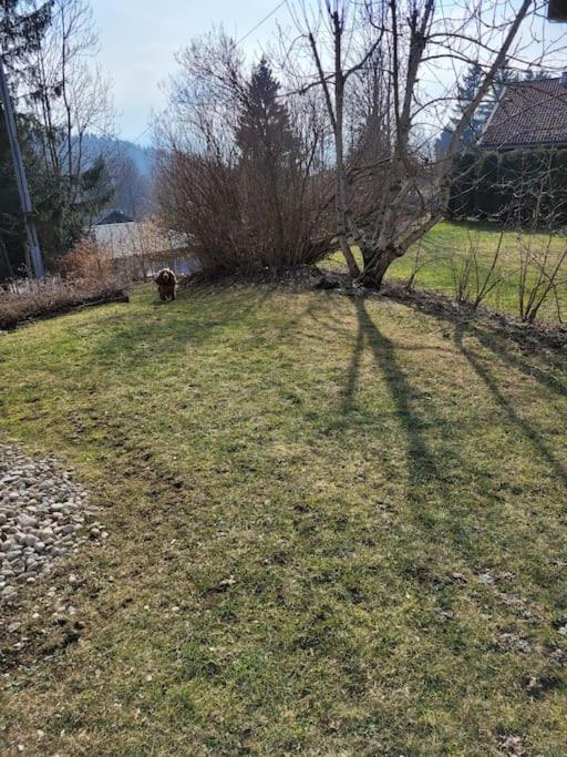 Appartement Le Flocon, Joli Petit Cocon 4 Pers En Rez De Jardin Draps Inclus Les Rousses Luaran gambar
